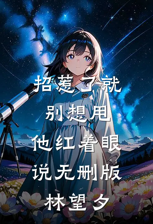 招惹了就别想甩，他红着眼说无删版林望夕