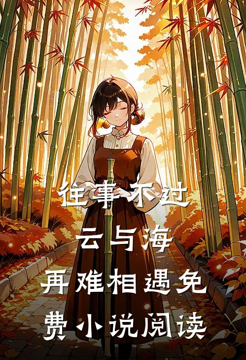 往事不过云与海,再难相遇免费阅读全文