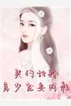 沈云溪云铮为主角的小说叫什么文章全文
