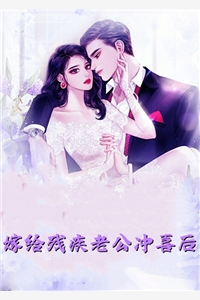 完美犯罪小说
