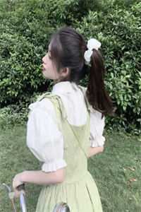 完美犯罪全局