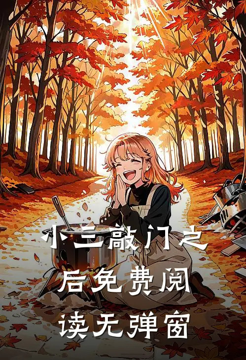 小三敲门之后免费阅读无弹窗