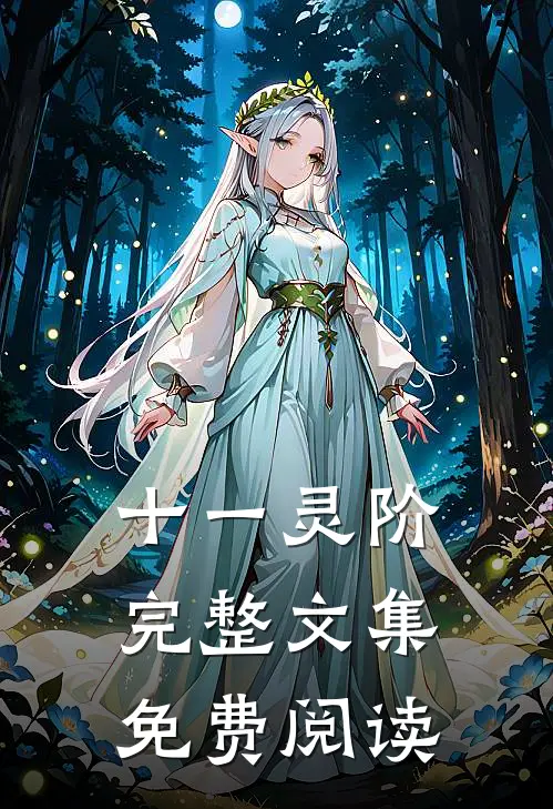 十一灵阶完整文集免费阅读