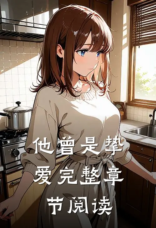 他曾是挚爱完整章节阅读