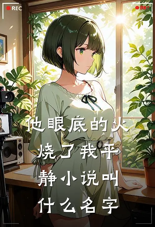 他眼底的火，烧了我平静小说叫什么名字