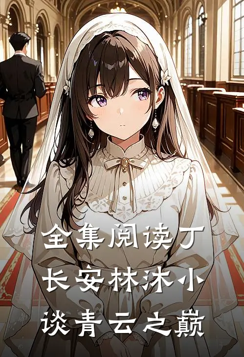 全集阅读丁长安林沐小谈青云之巅