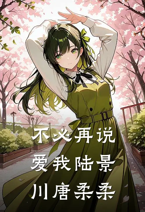 不必再说爱我陆景川唐柔柔