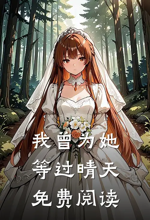我曾为她等过晴天免费阅读