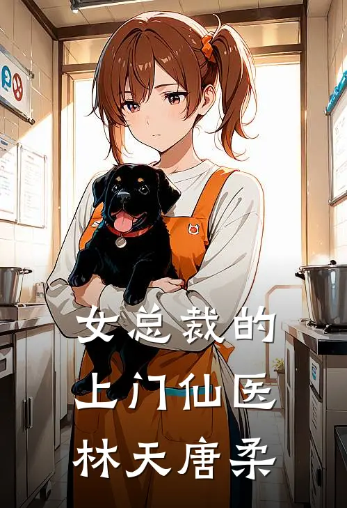 女总裁的上门仙医林天唐柔