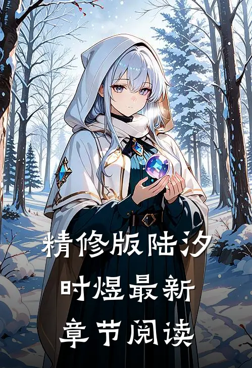 精修版陆汐时煜最新章节阅读