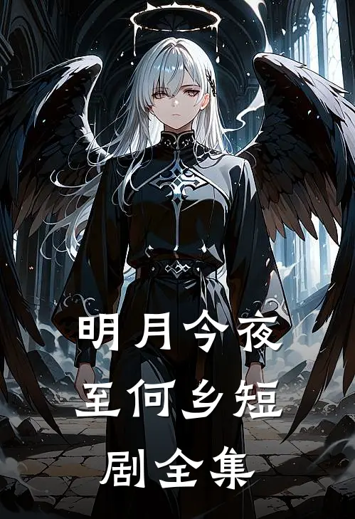 明月今夜至何乡短剧全集