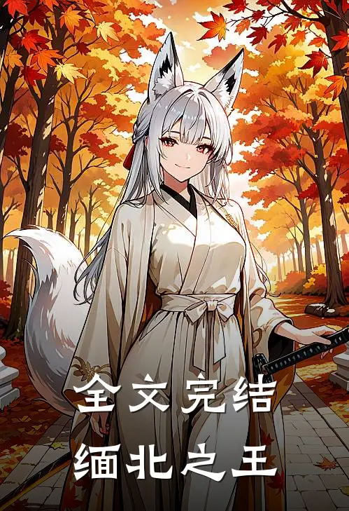 全文完结缅北之王