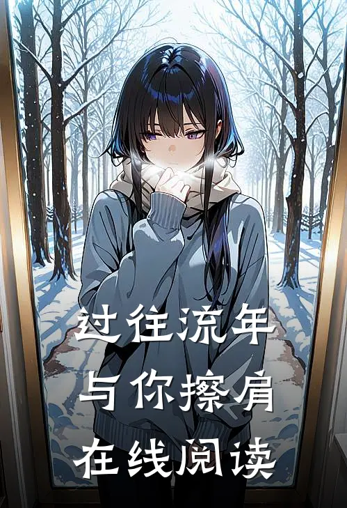 过往流年与你擦肩在线阅读