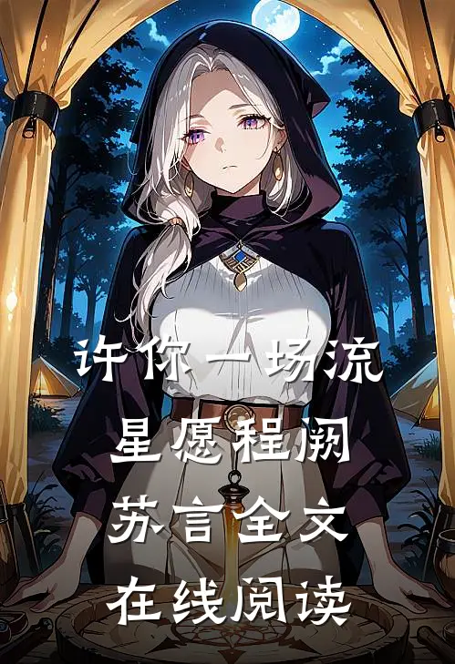 许你一场流星愿程阙苏言全文在线阅读