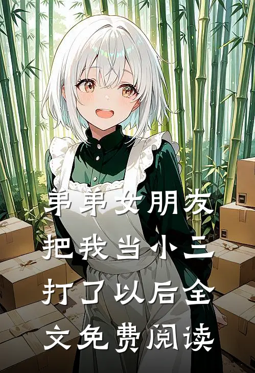 弟弟女朋友把我当小三打了以后全文免费阅读