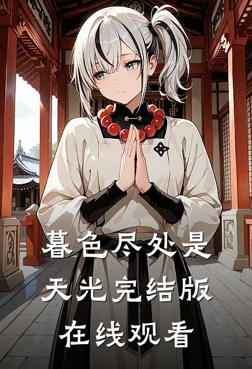 暮色尽处是天光完结版在线观看