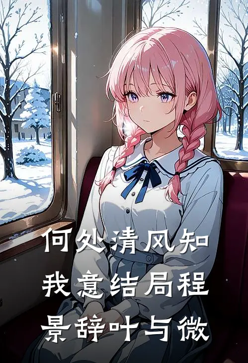 何处清风知我意结局程景辞叶与微