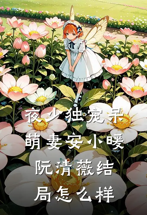 夜少独宠呆萌妻安小暖阮清薇结局怎么样