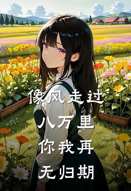 像风走过八万里，你我再无归期
