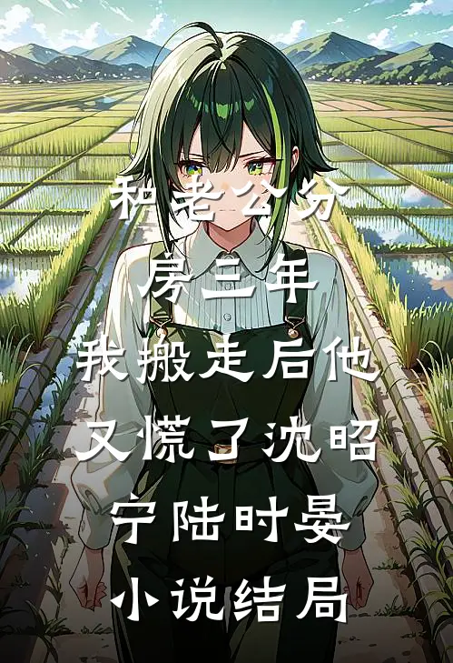 和老公分房三年，我搬走后他又慌了沈昭宁陆时晏小说结局