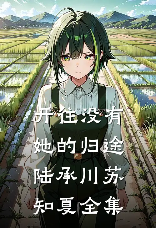 开往没有她的归途陆承川苏知夏全集