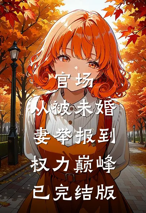 官场：从被未婚妻举报到权力巅峰已完结版