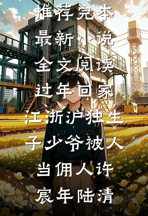 过年回家，江浙沪独生子少爷被人当佣人许宸年陆清小说推荐完本_最新小说全文阅读过年回家，江浙沪独生子少爷被人当佣人(许宸年陆清)