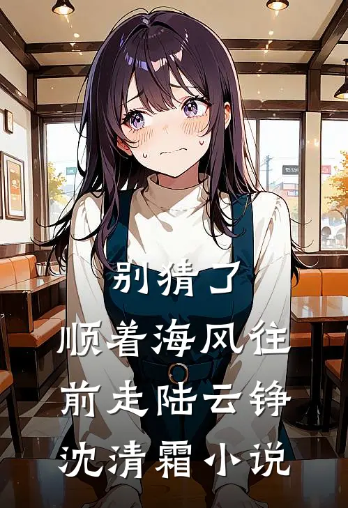 别猜了，顺着海风往前走陆云铮沈清霜小说