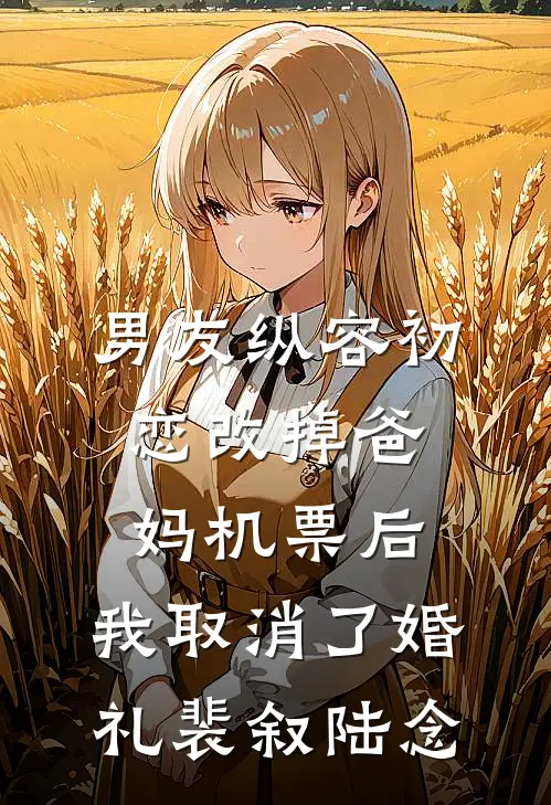 男友纵容初恋改掉爸妈机票后，我取消了婚礼裴叙陆念