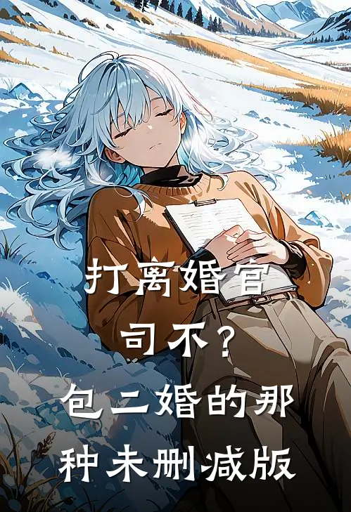 打离婚官司不？包二婚的那种未删减版