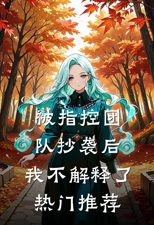 被指控团队抄袭后，我不解释了热门推荐