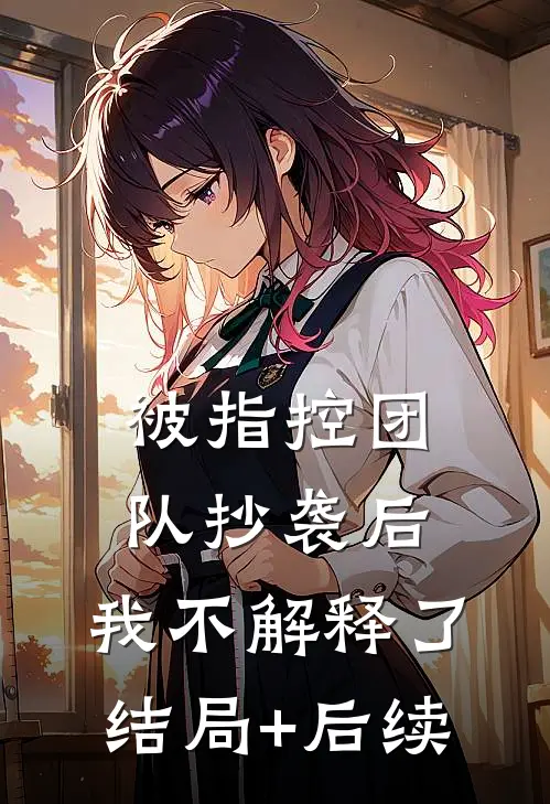 被指控团队抄袭后，我不解释了结局+后续