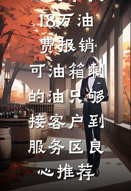 公司卡我18万油费报销，可油箱剩的油只够接客户到服务区良心推荐