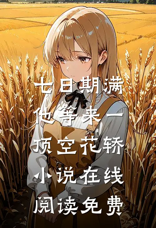 七日期满，他等来一顶空花轿小说在线阅读免费
