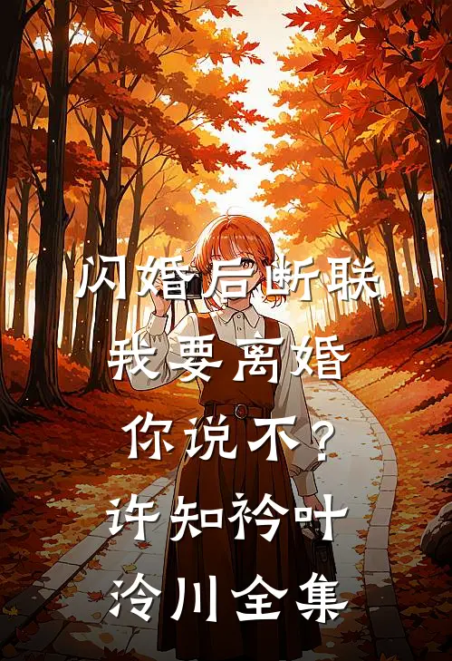 闪婚后断联，我要离婚你说不？许知衿叶泠川全集