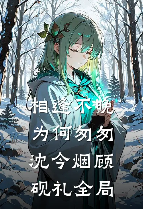 相逢不晚为何匆匆沈今烟顾砚礼全局