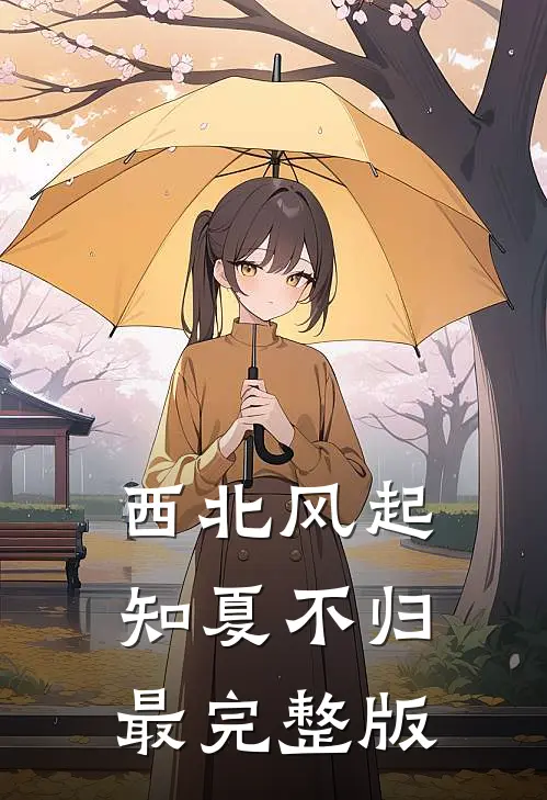 西北风起，知夏不归最完整版