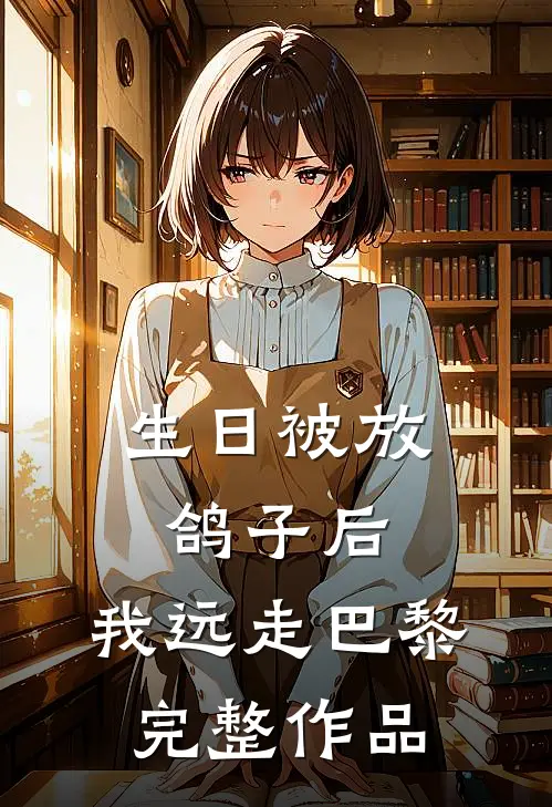生日被放鸽子后，我远走巴黎完整作品