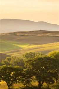 成亲就变强，我直接娶妻三千人气小说