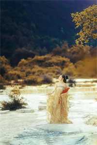 落雪梧桐夜夜歌完整阅读