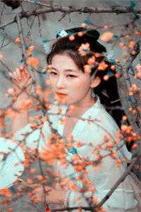 夫君想和别人合葬全文章节