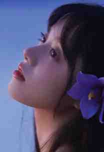 京婚溺爱畅销巨著