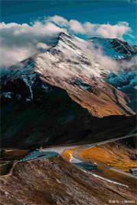 人间烟火渡余生全文免费