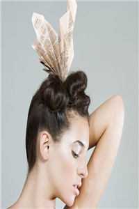 曾经深情不逢春人气小说