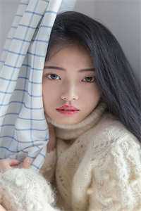 蔷薇遗失于人海之外傅西洲宋稚完结文