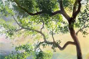 清风替我拂过你热门