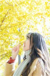 京婚溺爱抖音热门