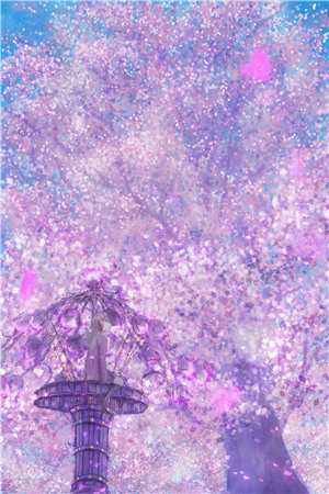 我妈被拐前就结婚了质量好文