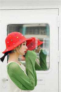 爱意坠星河完结版