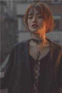 恶妻挺肚上海岛，科研大佬沦陷了阅读